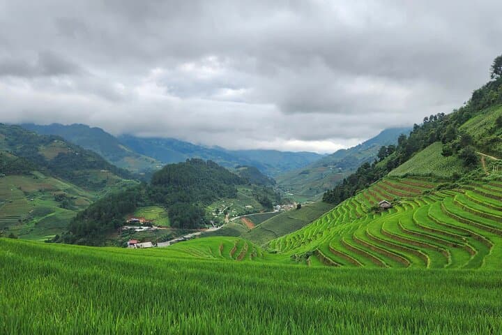 3-Day Trekking Mu Cang Chai Hidden Trails: Off-Route Rice Terraces & Homestays photo 6