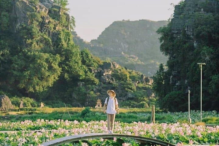 Ninh Binh Day Trip: Bike, Boat & Mua Cave Viewpoint from Hanoi photo 4
