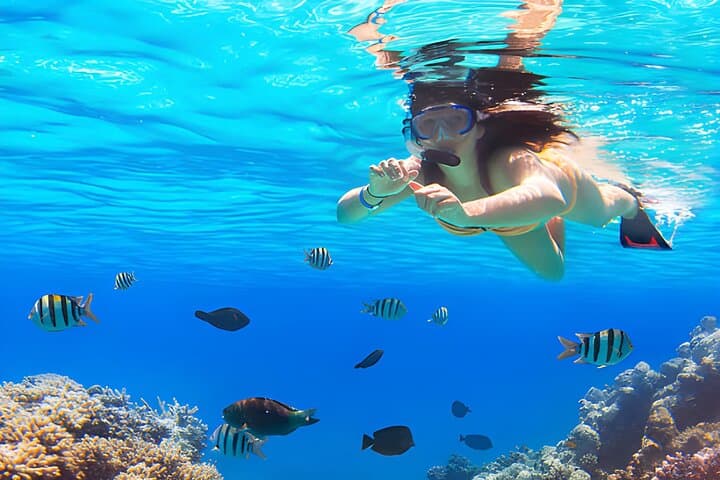 Hurghada Orange Bay Full-Day Snorkel Trip to Giftun Islands photo 4