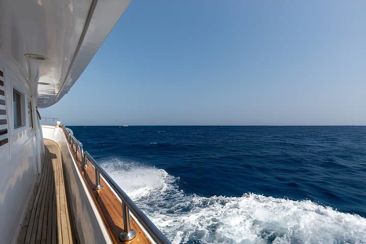 Marsa Mubarak Snorkeling — Swim with Sea Turtles & Dugong in the Red Sea photo 3