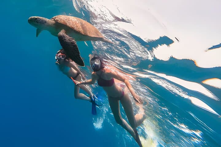 Marsa Mubarak Snorkeling — Swim with Sea Turtles & Dugong in the Red Sea photo 5