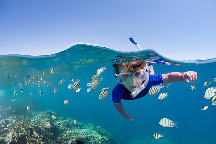 Marsa Mubarak Snorkeling — Swim with Sea Turtles & Dugong in the Red Sea photo 2