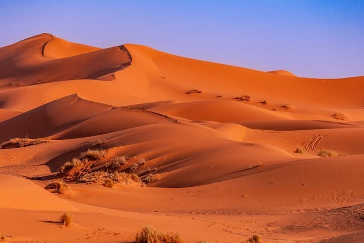 5-Day Morocco Adventure: Casablanca to Marrakech via the Sahara