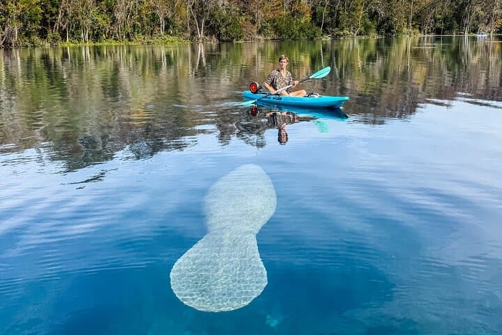 Silver Springs Glass-Bottom Kayak Tour — See Manatees, Monkeys & Underwater Ruins photo 4