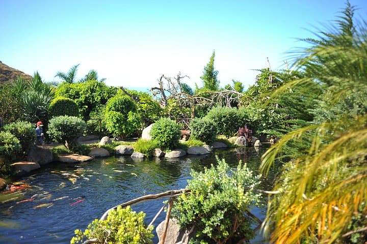 Explore Bird Island: Madeira Half-Day Private Tour to Campanário's Avian Park photo 3