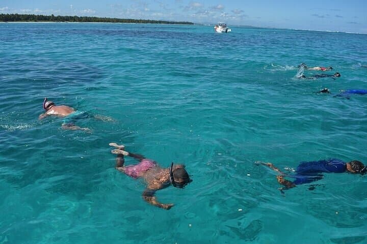 Private Punta Cana Catamaran Tour: Snorkel, Natural Pool & Dolphin Watch photo 5
