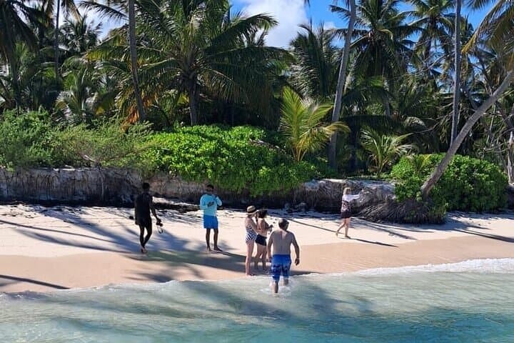 Private Punta Cana Catamaran Tour: Snorkel, Natural Pool & Dolphin Watch photo 6