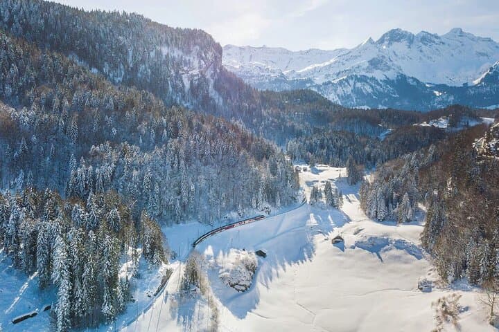 GoldenPass Panoramic Day Trip from Basel to Lucerne and Interlaken photo 4