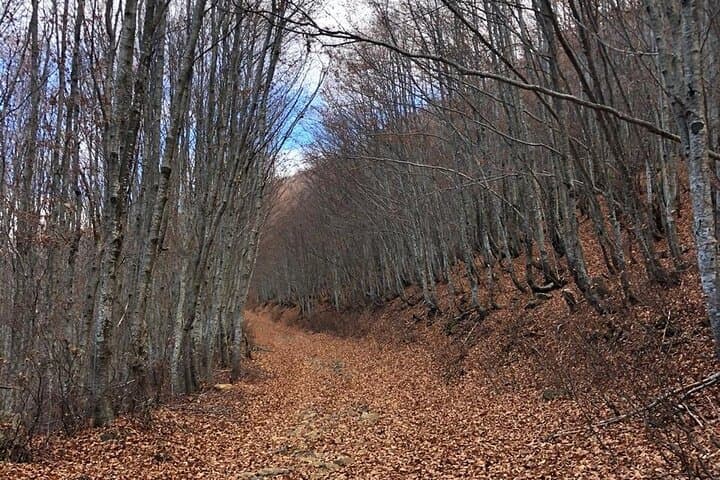 Discover Përmet: Short Nature Hike to the Vjosa River Panoramic View photo 5