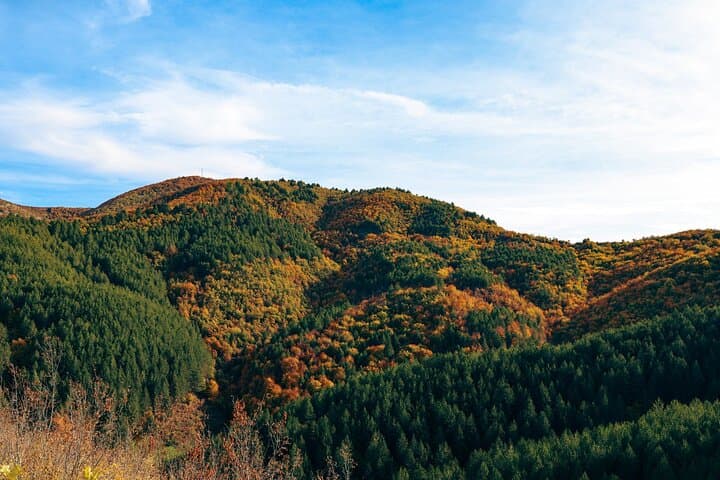 Discover Përmet: Short Nature Hike to the Vjosa River Panoramic View photo 6