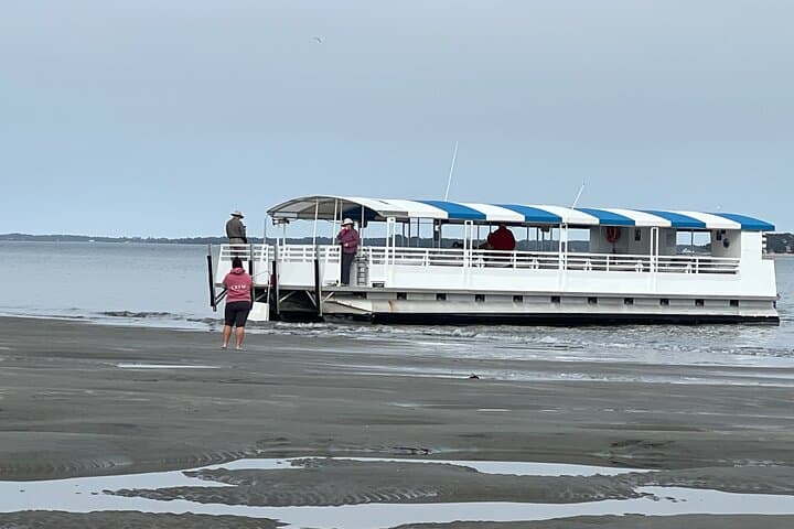 Hilton Head Dolphin Tour with Disappearing Island Stop — 2-Hour Boat Excursion photo 4