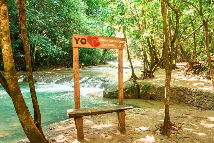 Rio Sonador River & Food Experience — Mountain Ponds, Coffee & Dominican Lunch photo 1