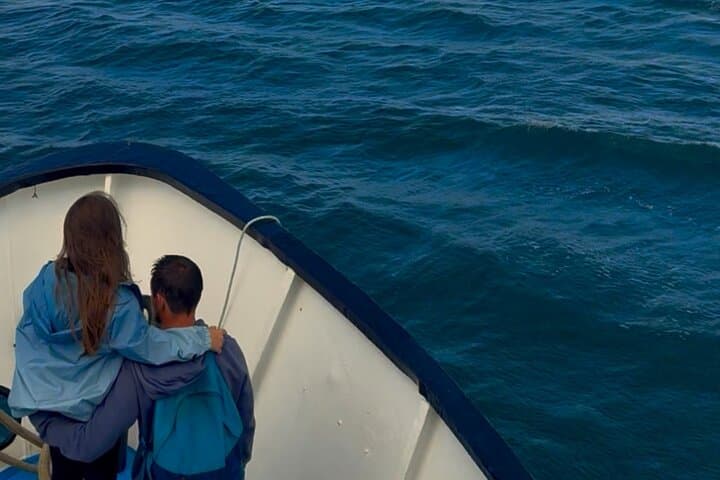Howth to Ireland's Eye: A 45-Minute Coastal Wildlife Boat Tour photo 5