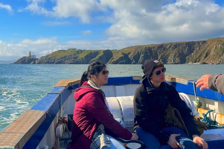 Howth to Ireland's Eye: A 45-Minute Coastal Wildlife Boat Tour