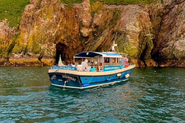 Howth to Ireland's Eye: A 45-Minute Coastal Wildlife Boat Tour photo 4