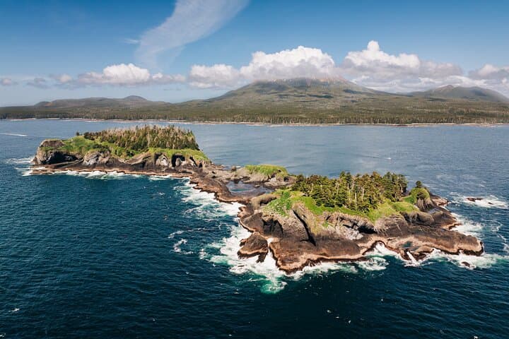 Sitka Wildlife Photography Boat Workshop: Capture Whales, Otters & Eagles photo 5