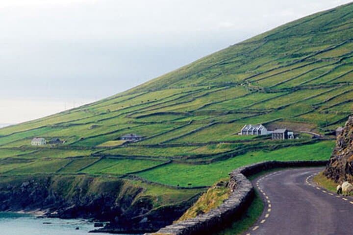 Private Dingle and Slea Head Day Tour from Cork — Conor Pass & Wild Atlantic Views