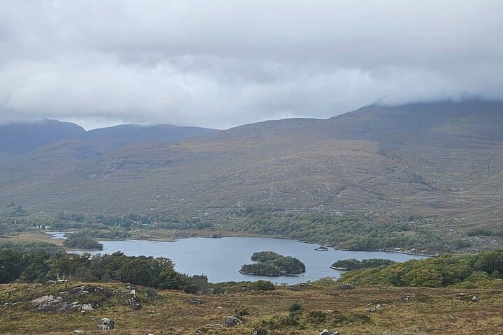 Private Dingle and Slea Head Day Tour from Cork — Conor Pass & Wild Atlantic Views photo 4
