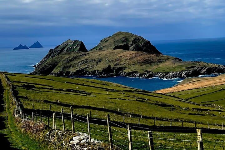 Private Dingle and Slea Head Day Tour from Cork — Conor Pass & Wild Atlantic Views photo 5