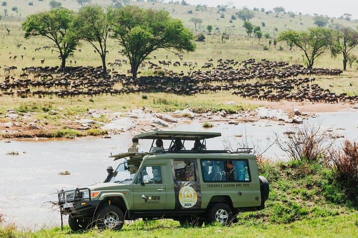 7-Day Tanzania Odyssey Safari: Luxury Great Migration Experience photo 4