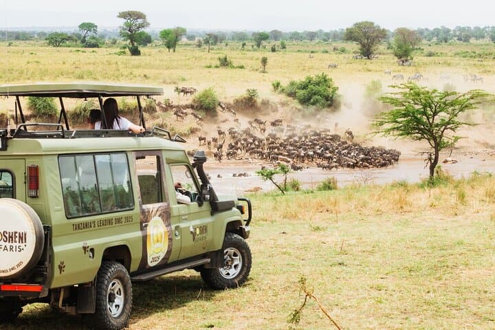 Frontline of the Great Migration: 10-Day Serengeti Safari Adventure