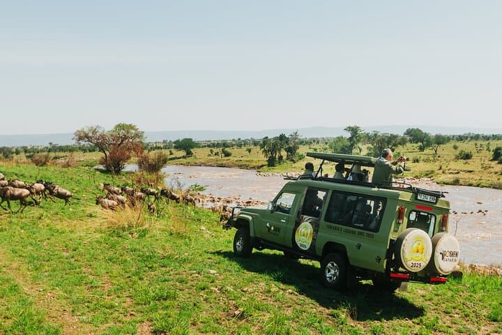 7-Day Tanzania Odyssey Safari: Luxury Great Migration Experience photo 2