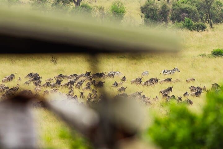 Frontline of the Great Migration: 10-Day Serengeti Safari Adventure photo 3