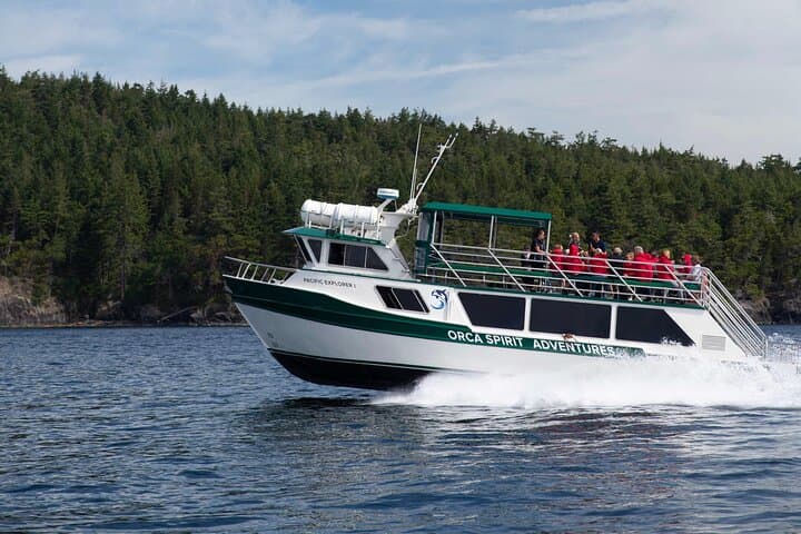 Winter Victoria Covered-Vessel Whale and Wildlife Tour