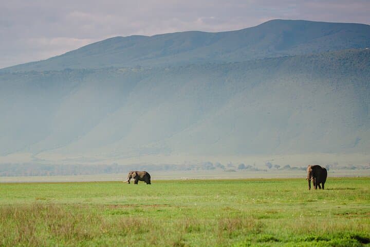 Luxury 7-Day Tanzania Safari: Serengeti, Ngorongoro & Hot-Air Balloon photo 3