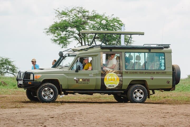 Luxury 7-Day Tanzania Safari: Serengeti, Ngorongoro & Hot-Air Balloon photo 2