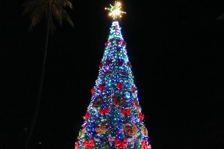 Hawaii Christmas Trolley: Waikiki to Honolulu City Lights Tour photo 2