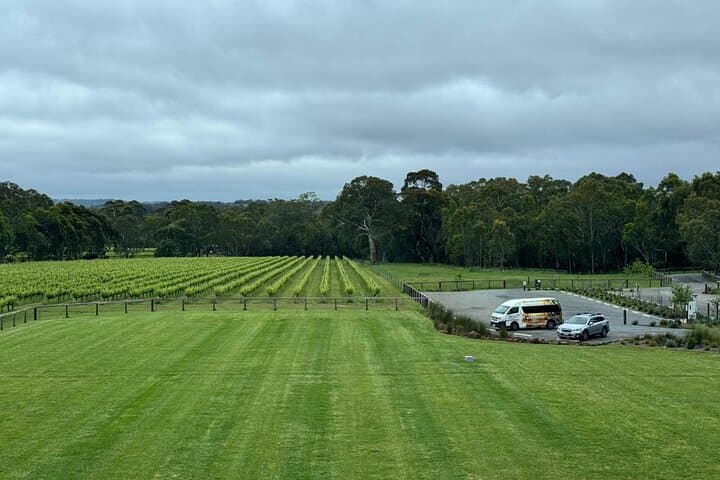 McLaren Vale Wine Tour — Cruise Ship Pickups & Tastings