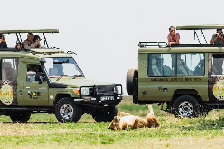 9-Day Enchanting Tanzania Safari: Luxury Serengeti, Ngorongoro & Tarangire
