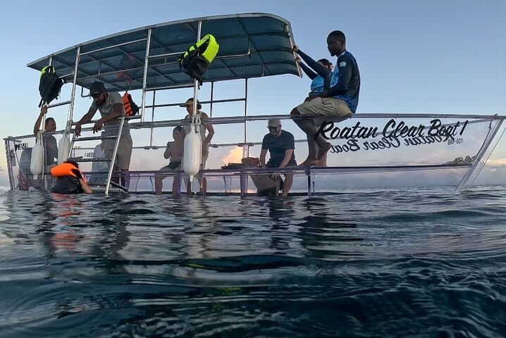 Roatán Clear-Bottom Boat Tour: See the Barrier Reef Without Getting Wet