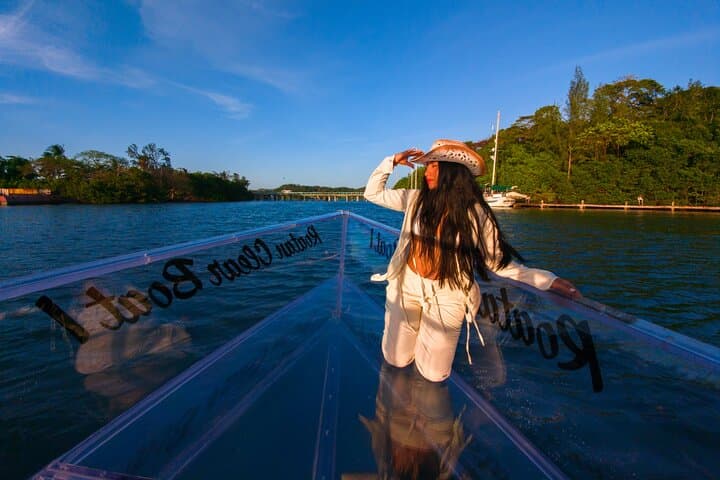 Roatán Clear-Bottom Boat Tour: See the Barrier Reef Without Getting Wet photo 2