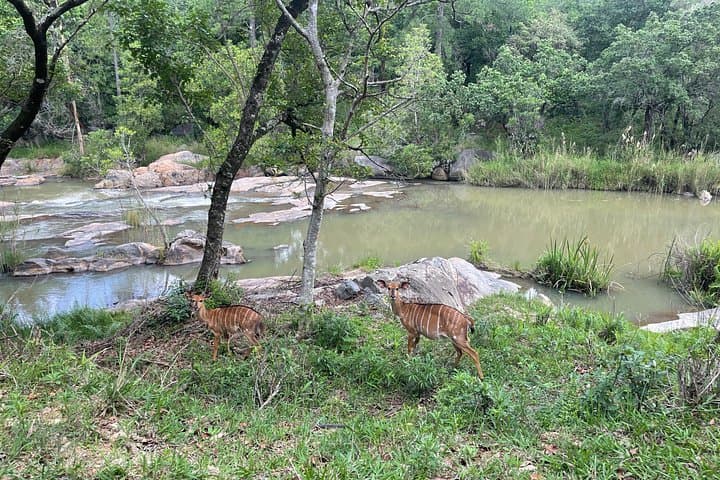 Day Trip to Eswatini from Maputo: Mantenga Cultural Village & Swazi Candles photo 3
