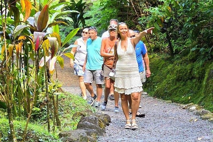 Private Tahiti Circle Island Tour: Waterfalls, Black Sand Beaches & Cultural Sights photo 1