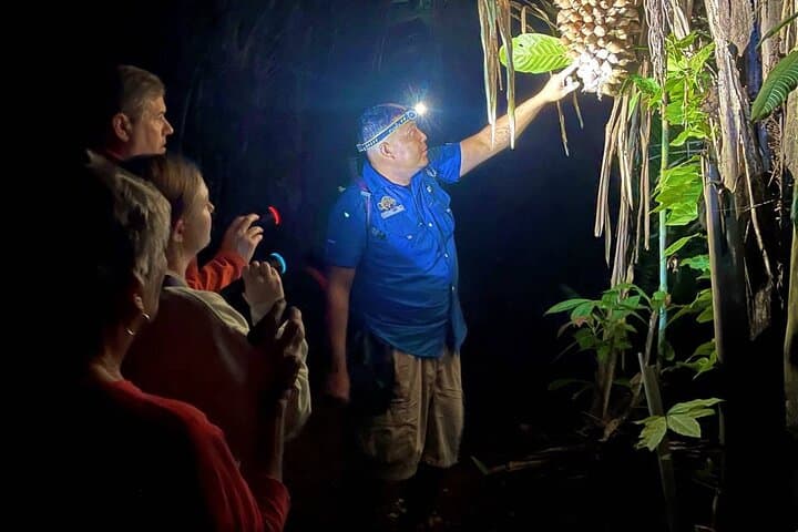 Night Hike Cockscomb Basin Jaguar Preserve — Belize After-Dark Wildlife Walk