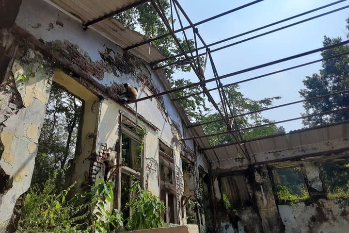 Beatles Ashram: Rishikesh Art & Meditation Walking Tour photo 3