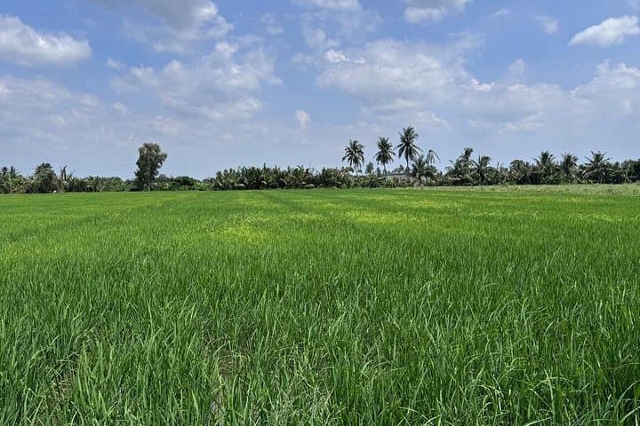 Cu Chi Tunnels and Mekong Delta Eco Day Trip from Ho Chi Minh City photo 1