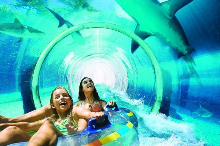 Atlantis Aquaventure & The Lost Chambers: Dubai’s Water Park and Aquarium Combo Guide photo 4