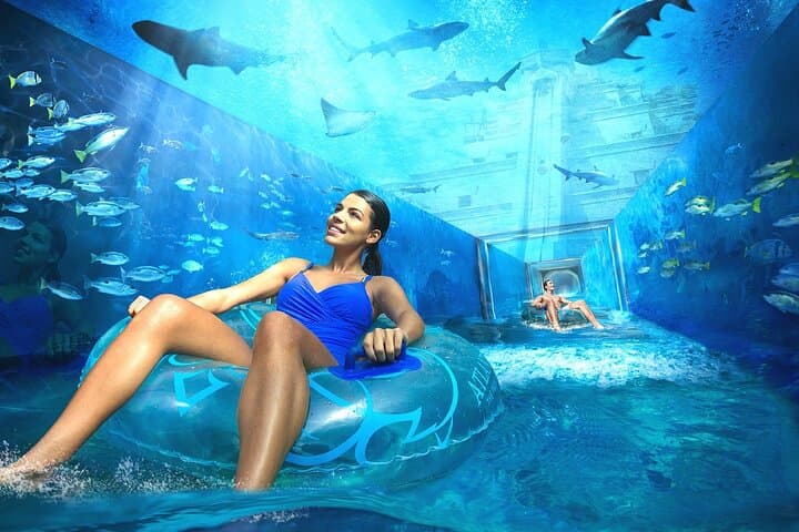 Atlantis Aquaventure & The Lost Chambers: Dubai’s Water Park and Aquarium Combo Guide photo 6