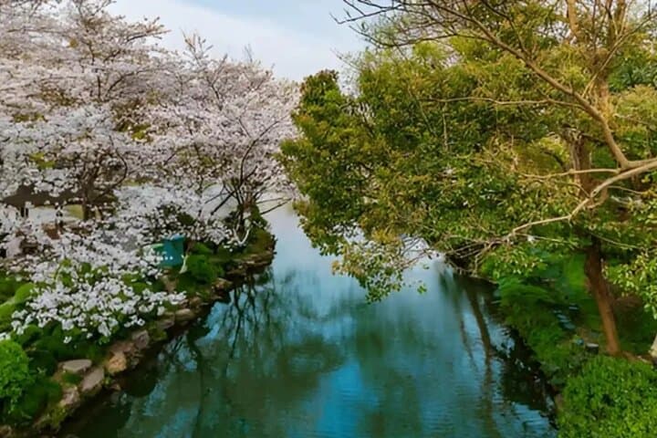Hangzhou Private Day Tour: West Lake & Moganshan National Park photo 3
