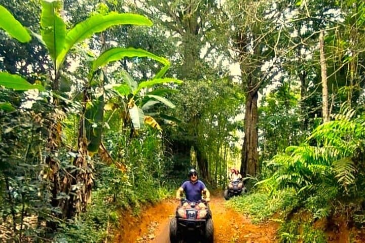 North Bali ATV to Banyumala Waterfall: Mud, Forest Tracks & River Runs photo 3
