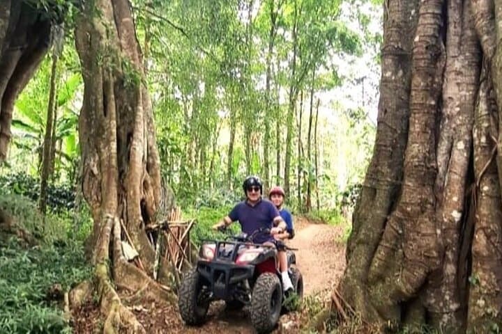 North Bali ATV to Banyumala Waterfall: Mud, Forest Tracks & River Runs photo 4