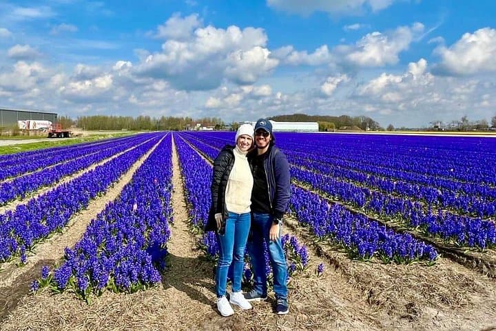 Amsterdam Private Tour to Keukenhof, Tulip Fields and Zaanse Schans Windmills photo 3