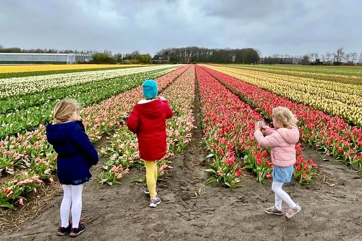 Amsterdam Private Tour to Keukenhof, Tulip Fields and Zaanse Schans Windmills photo 2
