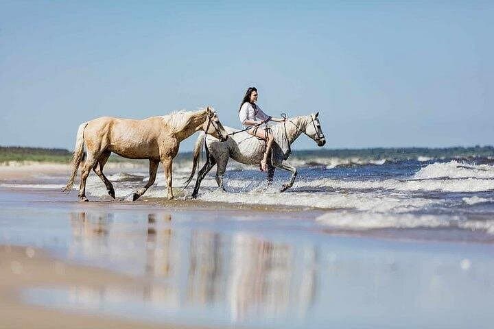 Horse Swimming Adventure in Hurghada: 3-Hour Beach & Desert Ride photo 2