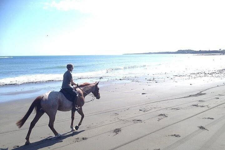 Horse Swimming Adventure in Hurghada: 3-Hour Beach & Desert Ride photo 3