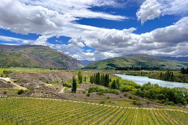 Central Otago Small-Group Wine Tour from Queenstown — Scenic Tastings & Expert Guide photo 2